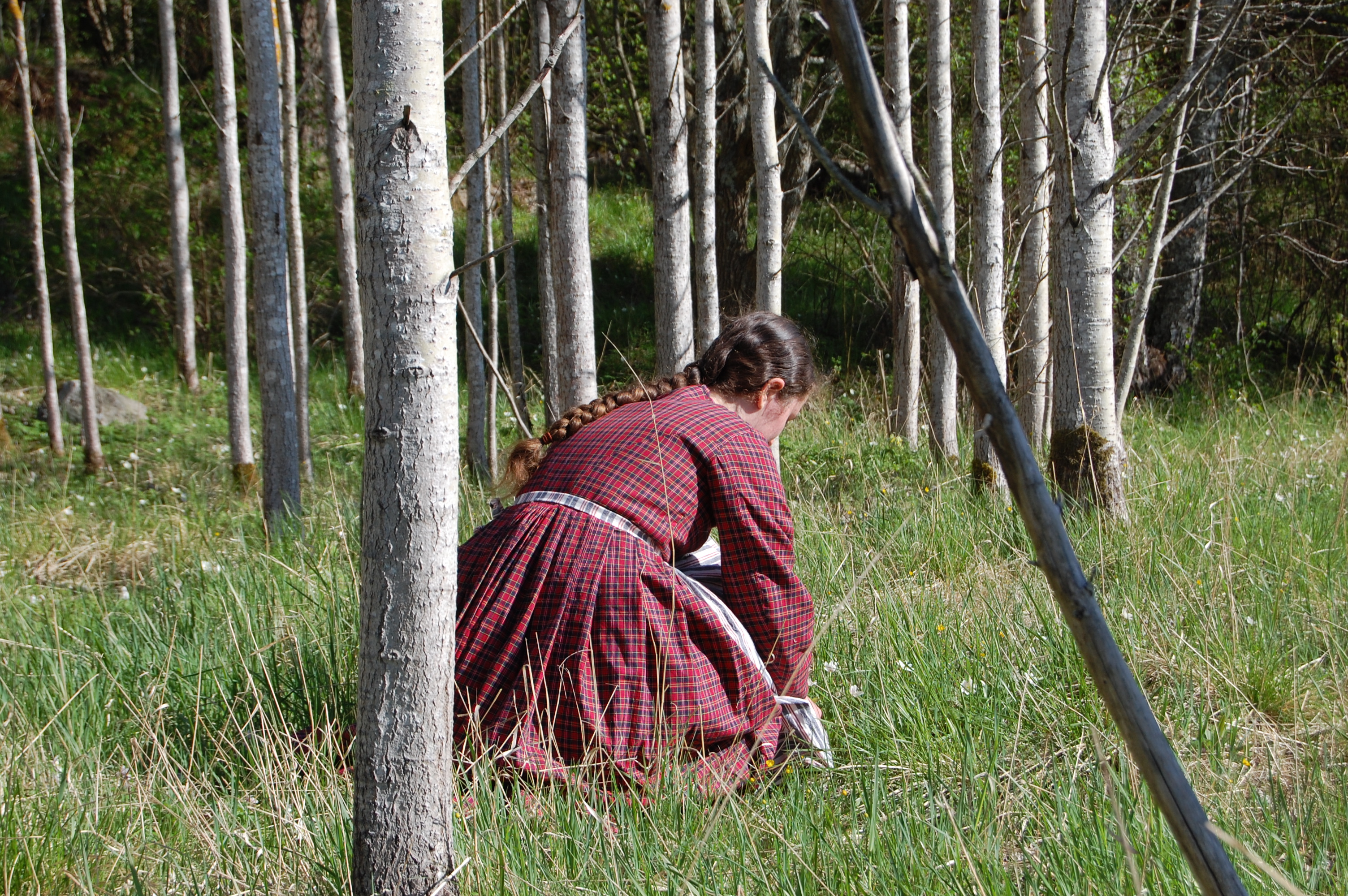 Plockar blommor i rutig 1800-talsklänning