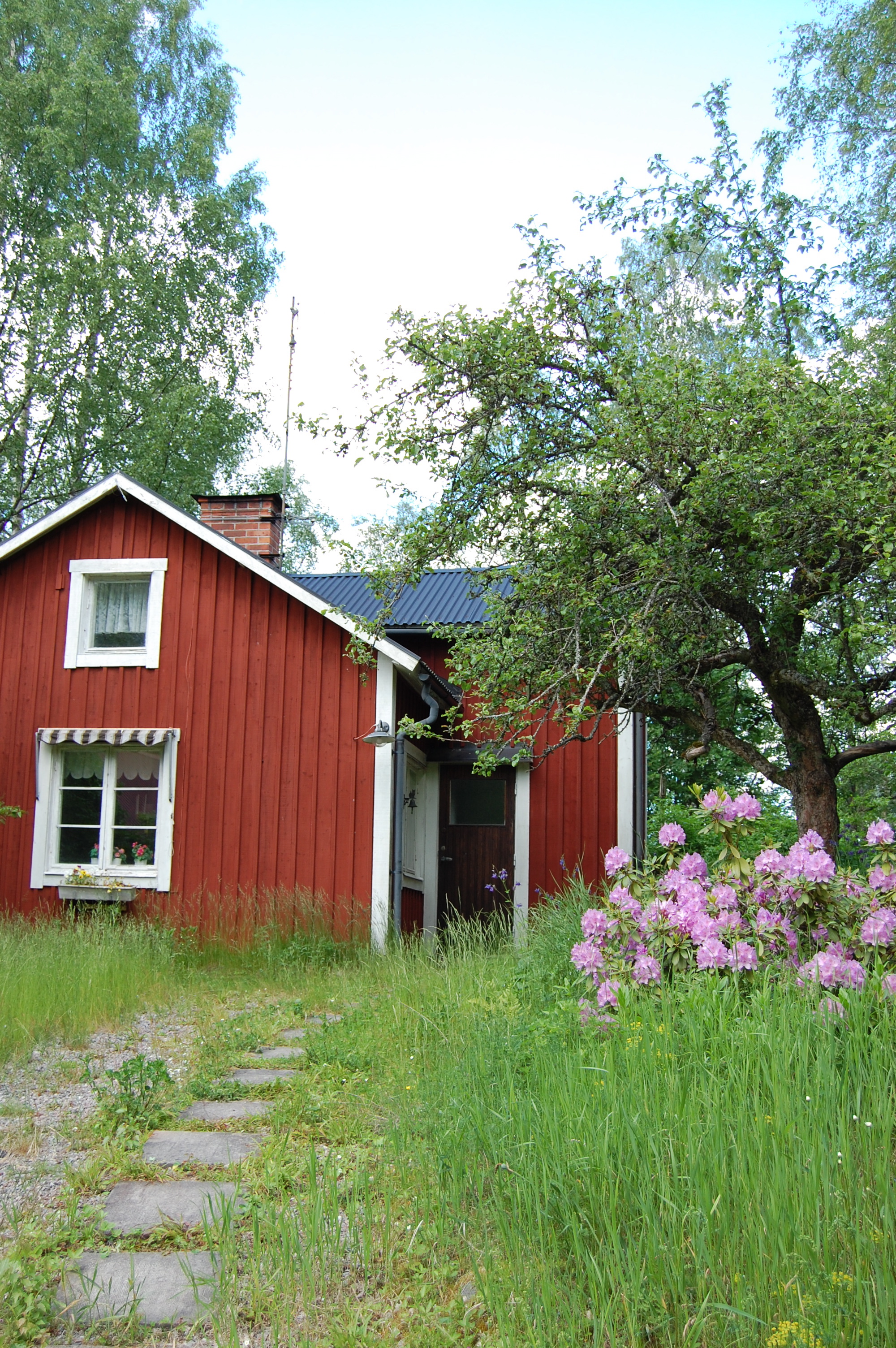 Röd stuga , gräsmatta och äppelträd.